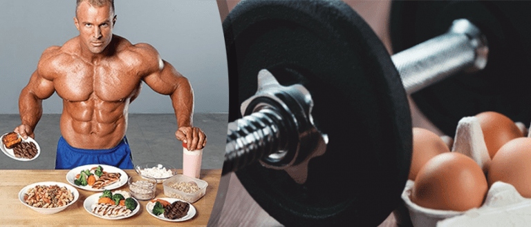 ¿Qué tan importante es una buena nutrición cuando utilizamos esteroides?