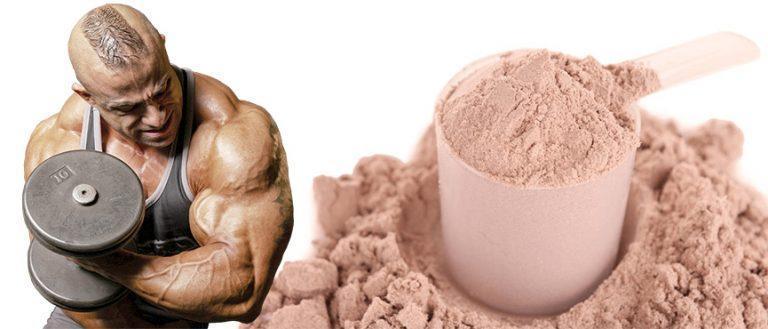 Proteína de suero de leche o proteína de carne, ¿cuál es mejor?