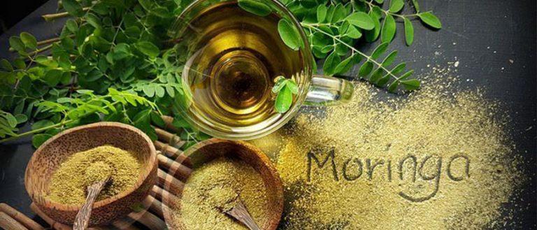 Moringa: propiedades, evidencia y cómo consumirla