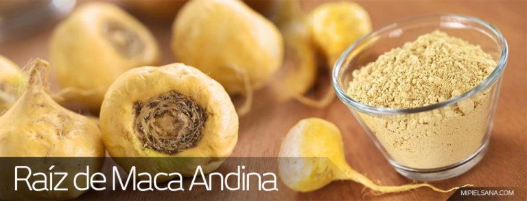Raíz de Maca Andina, qué es y sus beneficios