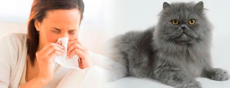 Síntomas que indican alergia a los animales