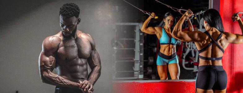Consejos básicos para desarrollar unos bíceps grandes y con fuerza
